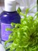 Verde Tea Tree Liquid Soap (250ml)