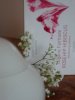 Organic Fair Trade Hampstead Tea - Rosehip Hibiscus