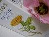 Helios Homeopathy Urtical Cream