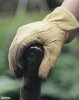 Leather Gardening Gloves