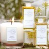 Mandala-Aroma 'Wisdom' Scent (Relaxing) - Bath Oil, Body Oil and Candles (Vegan)