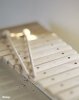 Xylophone