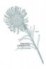 Wickle 'Protea Compacta' Botanical Card - Any Occasion Card