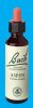 Nelsons 'Bach' Original Flower Remedies (Aspen)