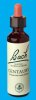 Nelsons 'Bach' Original Flower Remedies (Centaury)