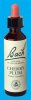 Nelsons 'Bach' Original Flower Remedies (Cherry Plum)