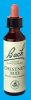 Nelsons 'Bach' Original Flower Remedies (Chestnut Bud)