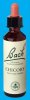 Nelsons 'Bach' Original Flower Remedies (Chicory)