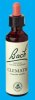 Nelsons 'Bach' Original Flower Remedies (Clematis)