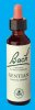 Nelsons 'Bach' Original Flower Remedies (Gentian)