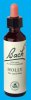 Nelsons 'Bach' Original Flower Remedies (Holly)