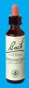 Nelsons 'Bach' Original Flower Remedies (Honeysuckle)