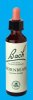 Nelsons 'Bach' Original Flower Remedies (Hornbeam)