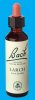 Nelsons 'Bach' Original Flower Remedies (Larch)