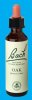 Nelsons 'Bach' Original Flower Remedies (Oak)