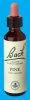 Nelsons 'Bach' Original Flower Remedies (Pine)