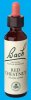 Nelsons 'Bach' Original Flower Remedies (Red Chestnut)