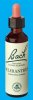 Nelsons 'Bach' Original Flower Remedies (Scleranthus)