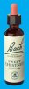 Nelsons 'Bach' Original Flower Remedies (Sweet Chestnut)