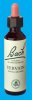 Nelsons 'Bach' Original Flower Remedies (Vervain)