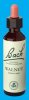 Nelsons 'Bach' Original Flower Remedies (Walnut)
