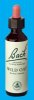 Nelsons 'Bach' Original Flower Remedies (Wild Oat)
