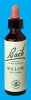Nelsons 'Bach' Original Flower Remedies (Willow)