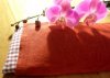 'Love Hove' Organic & Fairtrade Wheat Bag - Unscented