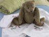 Luma Organic Hand Embroidered Baby Blankets (Bugs/Flowers & Bugs/Leaves)