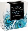 Trevarno Organic Calendula Soaps (Set of 2)