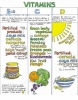 Liz Cook Wall Chart - Natural Nutrition