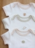 Natures Purest Organic Cotton 'Teddy & Ele' Bodysuits (Pack of 3 in Gift Box)