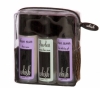 Whish 'Take Away' Shave Set