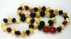 Baltic Amber Teething Necklace - Baroque Style (Milky, Dark)
