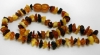 Baltic Amber Teething Necklace - Split Style (Multicolour)