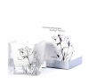 Infusion Organique Soy Wax Candle - Sands of Morocco