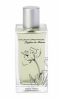 Infusion Organique Parfum de Maison - Buddha's Fig