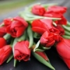 Tregothnan 'Red Amour' Bouquet