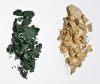 Alva Creamy Collection Duo Eye Shadow - Green Crush