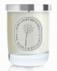 Pure Light Botanics 'Pine Needle & Eucalyptus' Natural Scented Candle (Vegan)