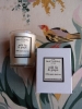 The Natural Store Organic Wax Votive Candles - Wild Fig & Grape
