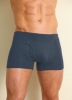 Bam Bamboo Fitted Boxers (Anthraicte)