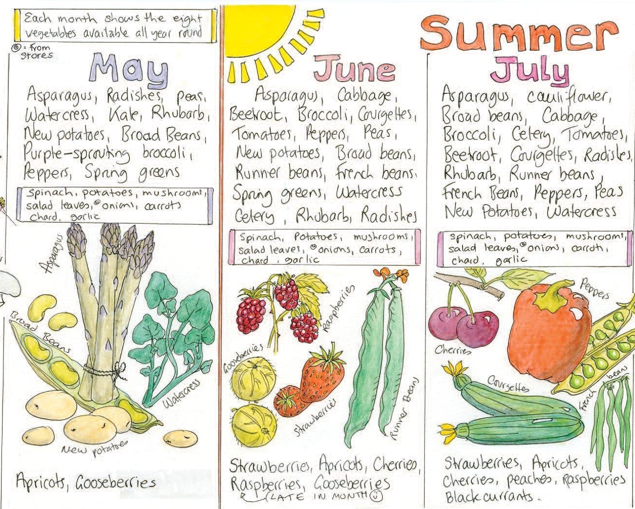 Seasonal Fruit And Veg Chart Uk